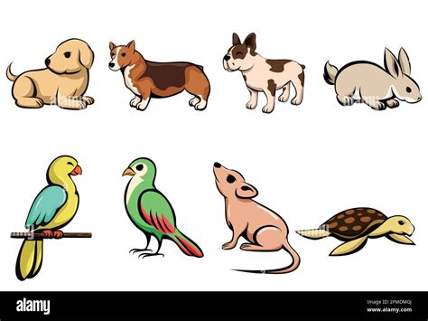 Ilustración Vectorial De Ocho Animales De Compañía Diferentes Con