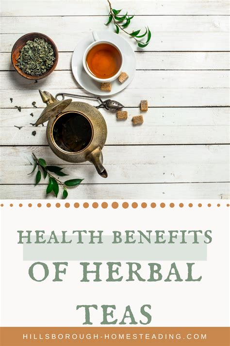 Most People Interested In Natural Remedies Or Herbal Preparations Begin