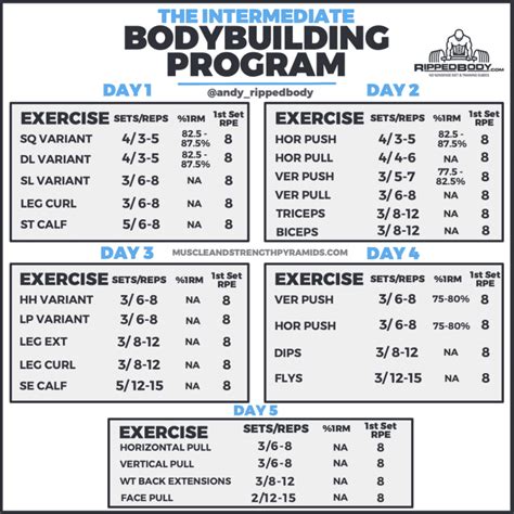 5 Day Bodybuilding Workout Schedule With Pictures Eoua Blog