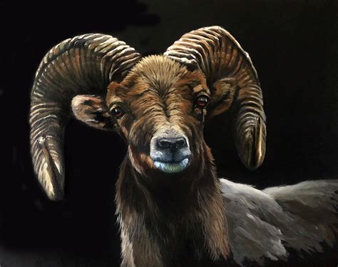 Ram Painting By Eileen Herb Witte Pixels