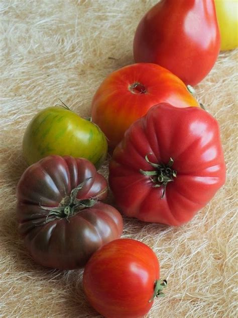 Heirloom Tomato Varieties For 2020