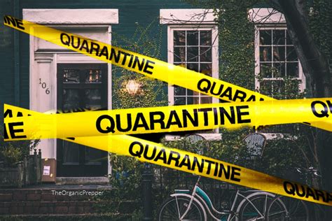 By continuing to use this site, you are agreeing to the use of cookies as described in our privacy policy. How to Prepare for a Coronavirus Quarantine - The Organic ...