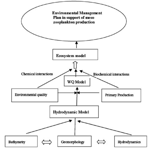 Ecosystem Model Basic Concept Download Scientific Diagram
