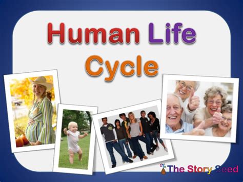 For Kids Human Life Cycle Teaching Resources Human Life Cycle