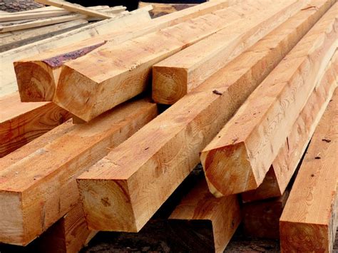 Drewno konstrukcyjne z wyselekcjonowanych gatunków drzew