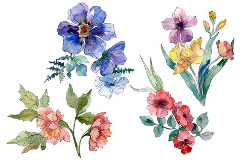 Wildflowers Watercolor Png Graphic By Solomiika · Creative Fabrica