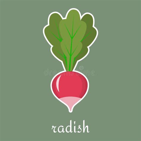 Radish Icon In White Stroke In A Flat Style On A Green Background