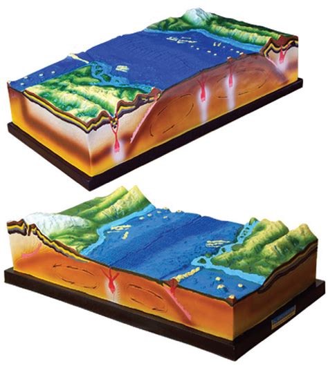 Model Of Plate Tectonics And Ground Configuration King Mariot Medical