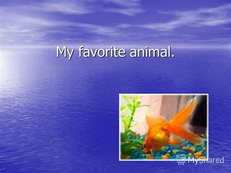 Презентация на тему My Favorite Animal My Favourite Animal My