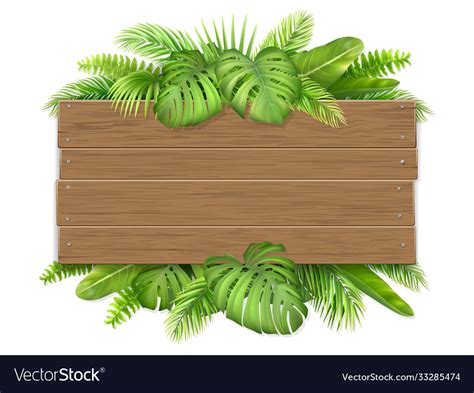 Wooden Sign With Tropical Leaves Royalty Free Vector Image