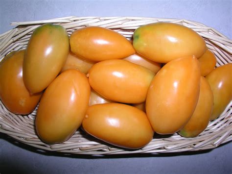 Orange Banana Tomato Growin Crazy Acres