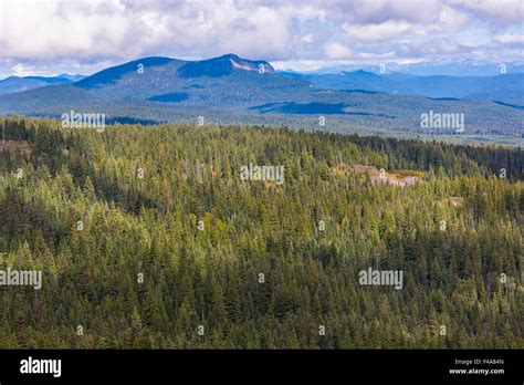 Ford Pinchot National Forest Washington Usa Indian Heaven