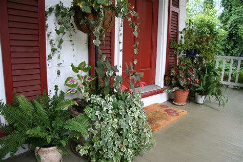 Ash Tree Cottage Potted Plants For Porches