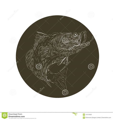 Barramundi Or Largemouth Bass Fish Jumping Black And White Retro