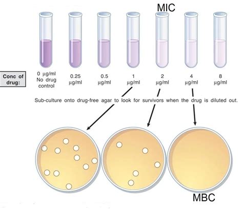 Serial Dilution Method For Estimating Viable Count Of Bacteria