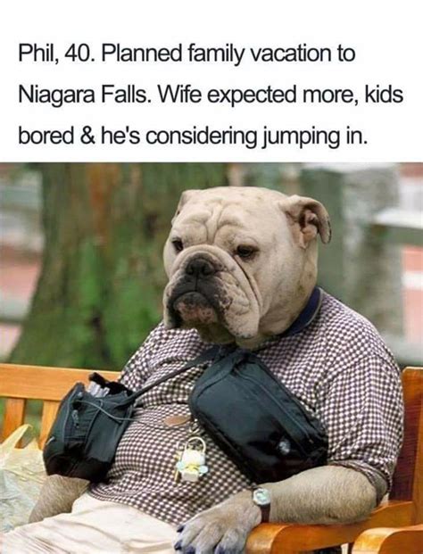 15 Funny Doggo Memes Gallery Ebaums World