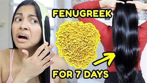 Fenugreek For 7 Days Grow The Thickest Hair Ever Before And After