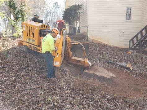 Tree removal, trimming and stump grinding in atlanta, ga. Lawrenceville GA Tree Service | E-Z Out Tree Service ...