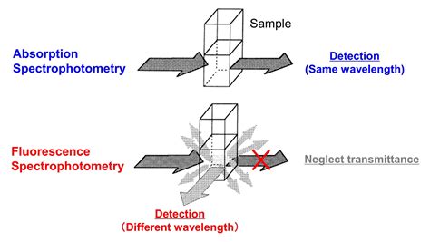 Why Fluorescence Spectrophotometry Offers Lower Detection Limits Than