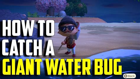How To Catch A Giant Water Bug Giant Water Bug Acnh Animal Crossing