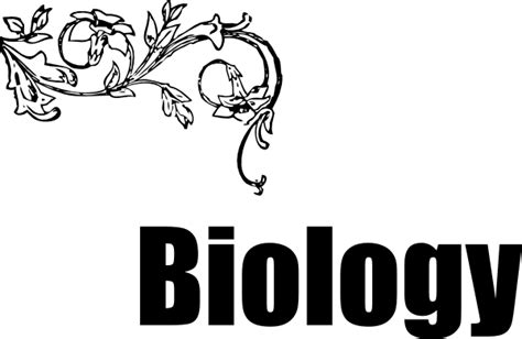 Biology Clip Art At Clker Vector Clip Art Online Royalty Free