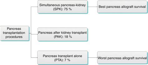 Imaging Of Pancreas Transplant Radiology Key