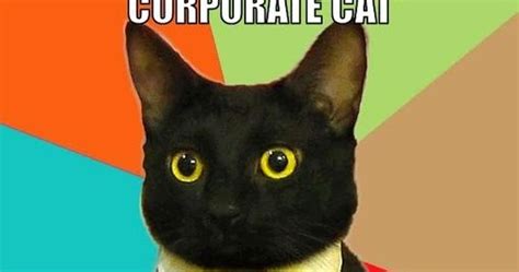 Funny Stuff Corporate Cat