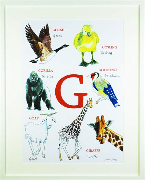 Animal Alphabet Letter G Nursery Print By Sarahgregorydesigns
