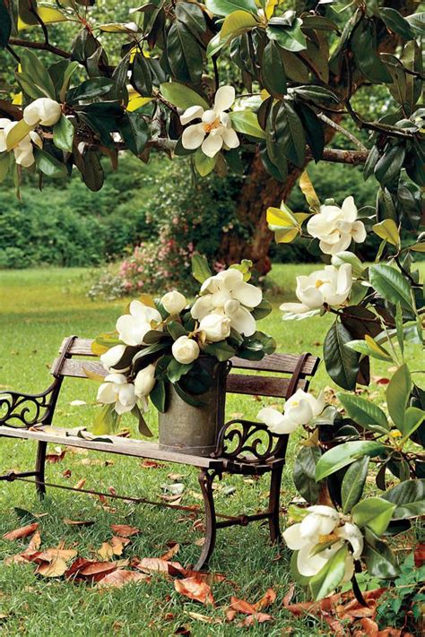 12 Flowering Southern Trees You Need To Plant Now Artofit