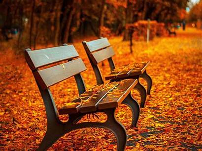 Park Autumn Benches Fall Backgrounds Leaves Thanksgiving