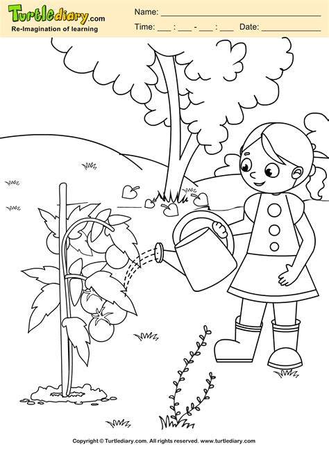 Preschool coloring pages are a great way to help teach colors. Water Plant Coloring Page Coloring sheet | Earth day ...