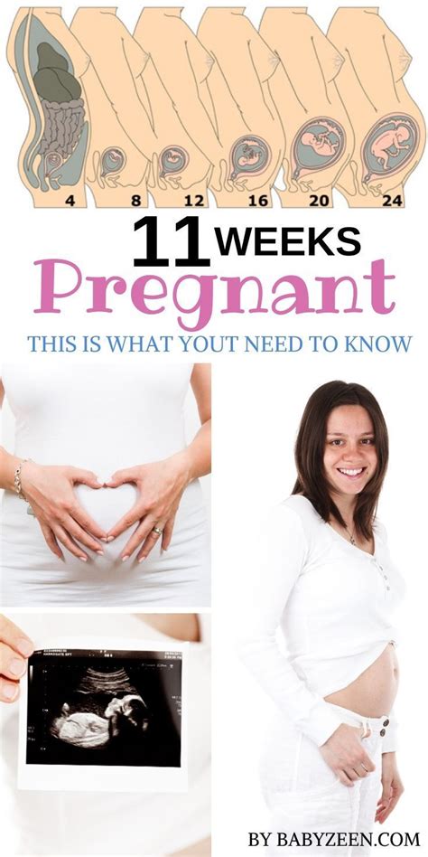 Bump 7 Weeks Pregnant Symptoms