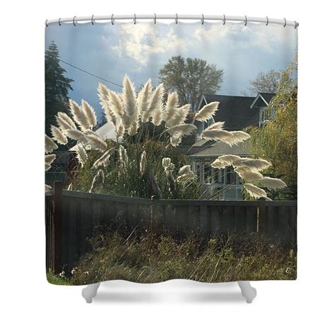 Pampas Grass In The Sun Shower Curtain For Sale By Tom Janca Pampas