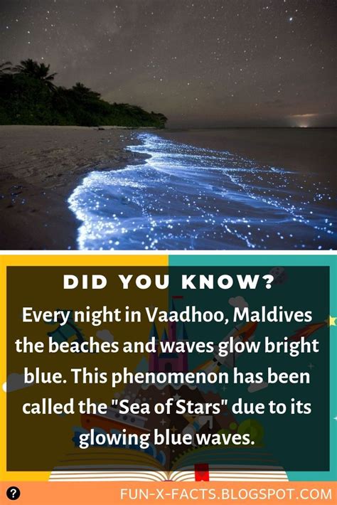 Every Night In Vaadhoo Maldives The Beaches And Waves Glow Bright Blue