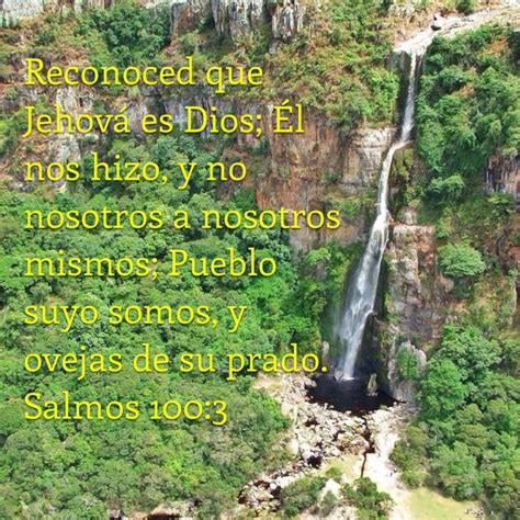 Salmos Biblia Reina Valera RVR Bible