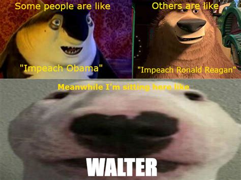 Walter Dog Nelson The Bull Terrier Walter Know Your Meme