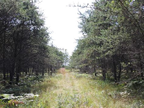 Enter your email address to receive alerts when we have new listings available for 1000 acres of land for sale. 75 Acres Hunting Property Curran MI : Farm for Sale in ...