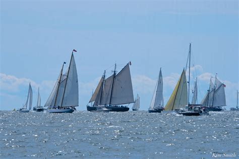 Schooner Festival Gloucester Parade Of Sail Copyright Kim Smith 59