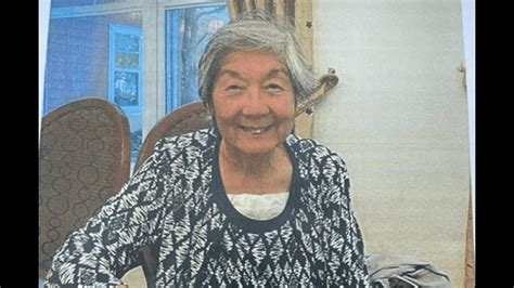 Police Search For 89 Year Old Woman Missing In Mississauga Insauga