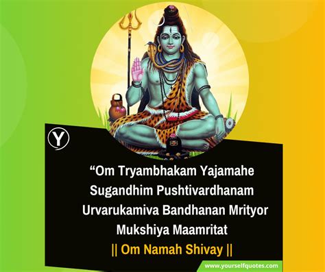 Mahashivratri Wishes Quotes To Earn The Blessings Of Lord Shiva