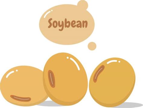 Soybean Cartoon Illustrations Royalty Free Vector Graphics And Clip Art