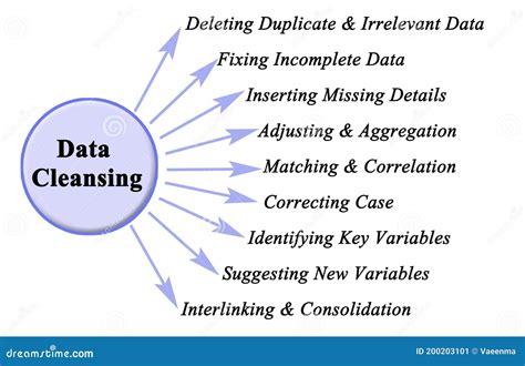 Components Of Data Cleansing Stock Illustration Illustration Of