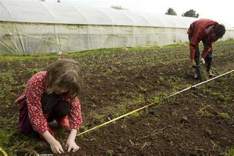 Sustainable Farming Cycle