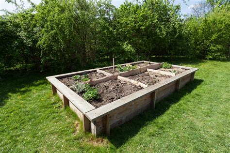 Tips on increasing yield from your raised garden beds. How to Build a Raised Garden Bed: Planning, Building, and ...