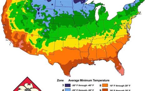 Get Into Your Growing Zone Usda Plant Hardiness Zones Explained