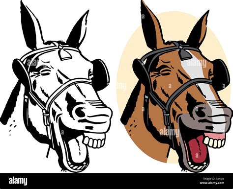 Horse Head Cartoon Drawing