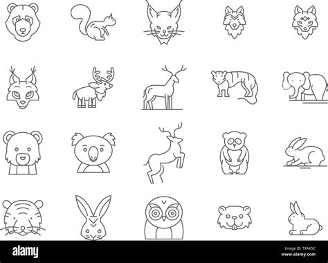 Forest Animals Line Icons Signs Vector Set Outline Illustration