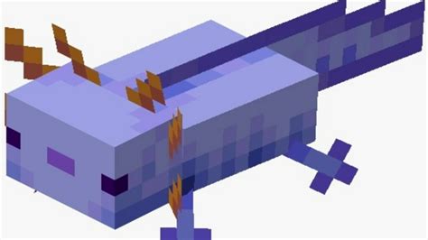 Le 5 Domande Più Cercate Su Minecraft Axolotl Moyens Io