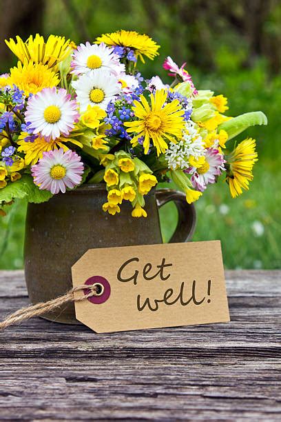 Get Well Soon Flowers Stock Photos Pictures And Royalty Free Images Istock