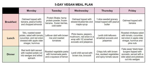 Get Plant Based Vegan Diet Plan  Vegan Diet Tips